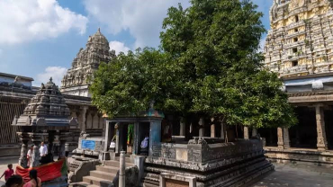 Travels in Tirupathi Kanchipuram Car Rentals