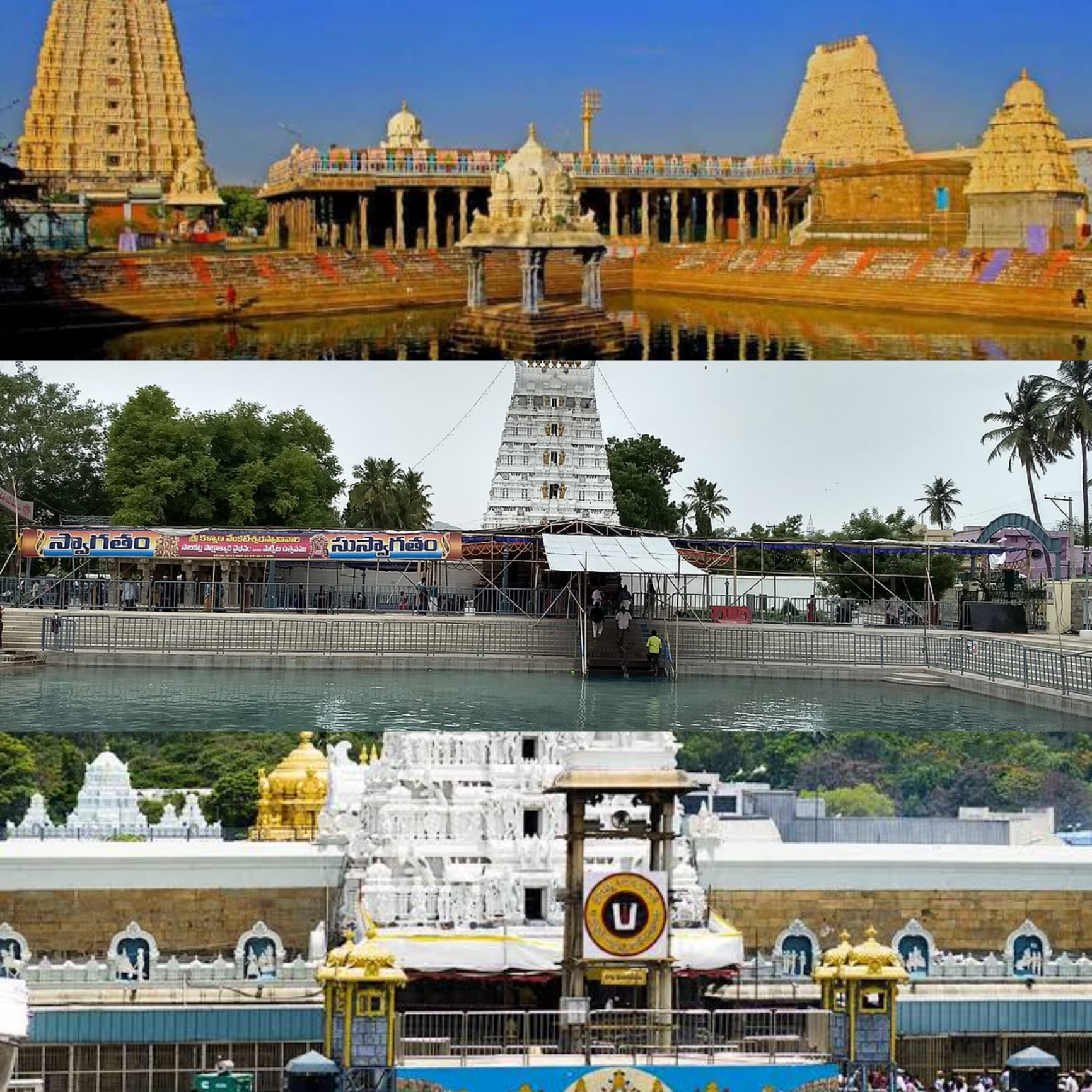 Travels in Tirupathi Vellore Golden Car Rental Package
