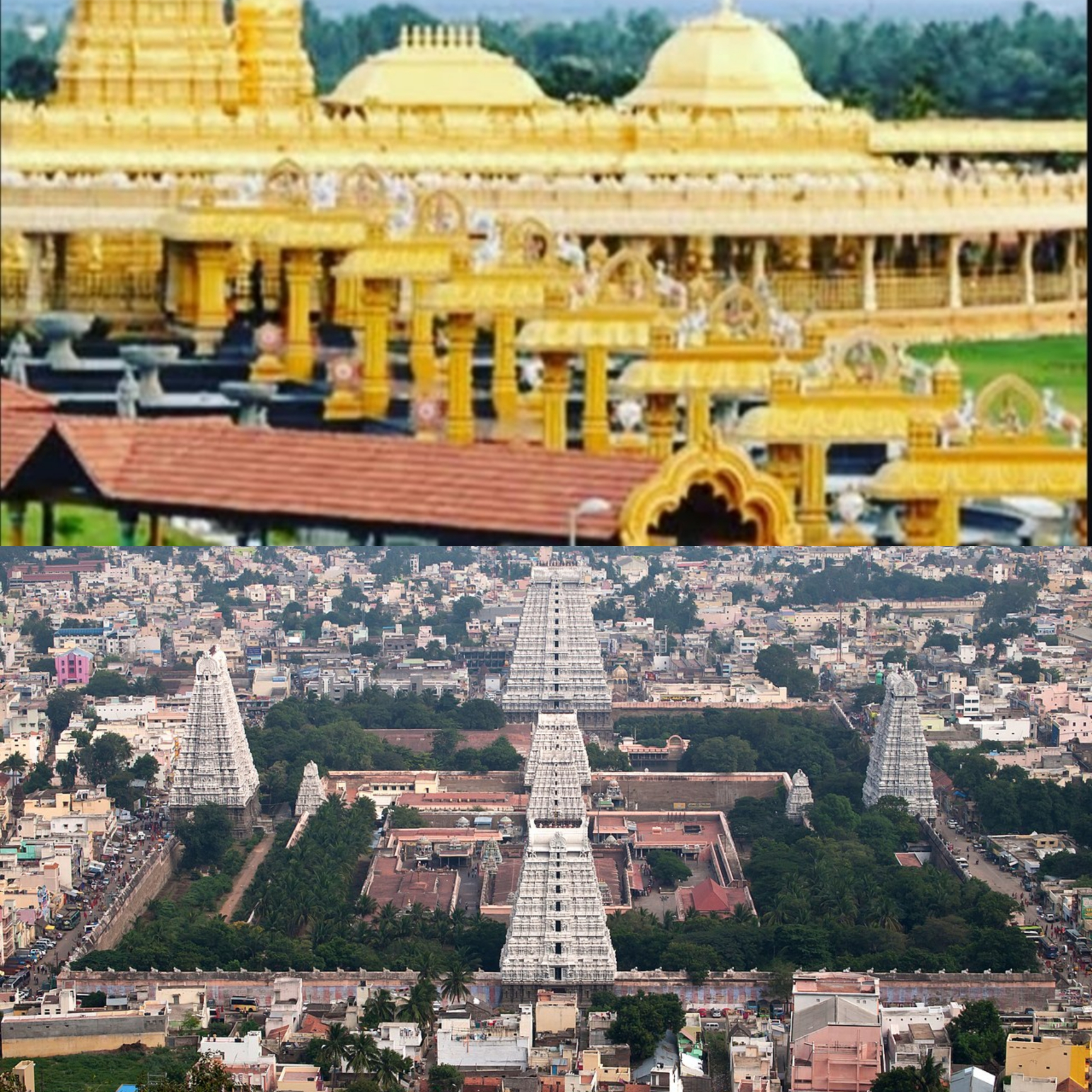 Travels in Tirupathi Vellore Golden Car Rental Package