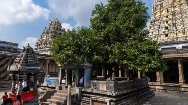 Travels in Tirupathi Kanchipuram Temple