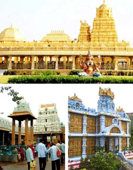Travels in Tirupathi Vellore Golden Car Rental Package