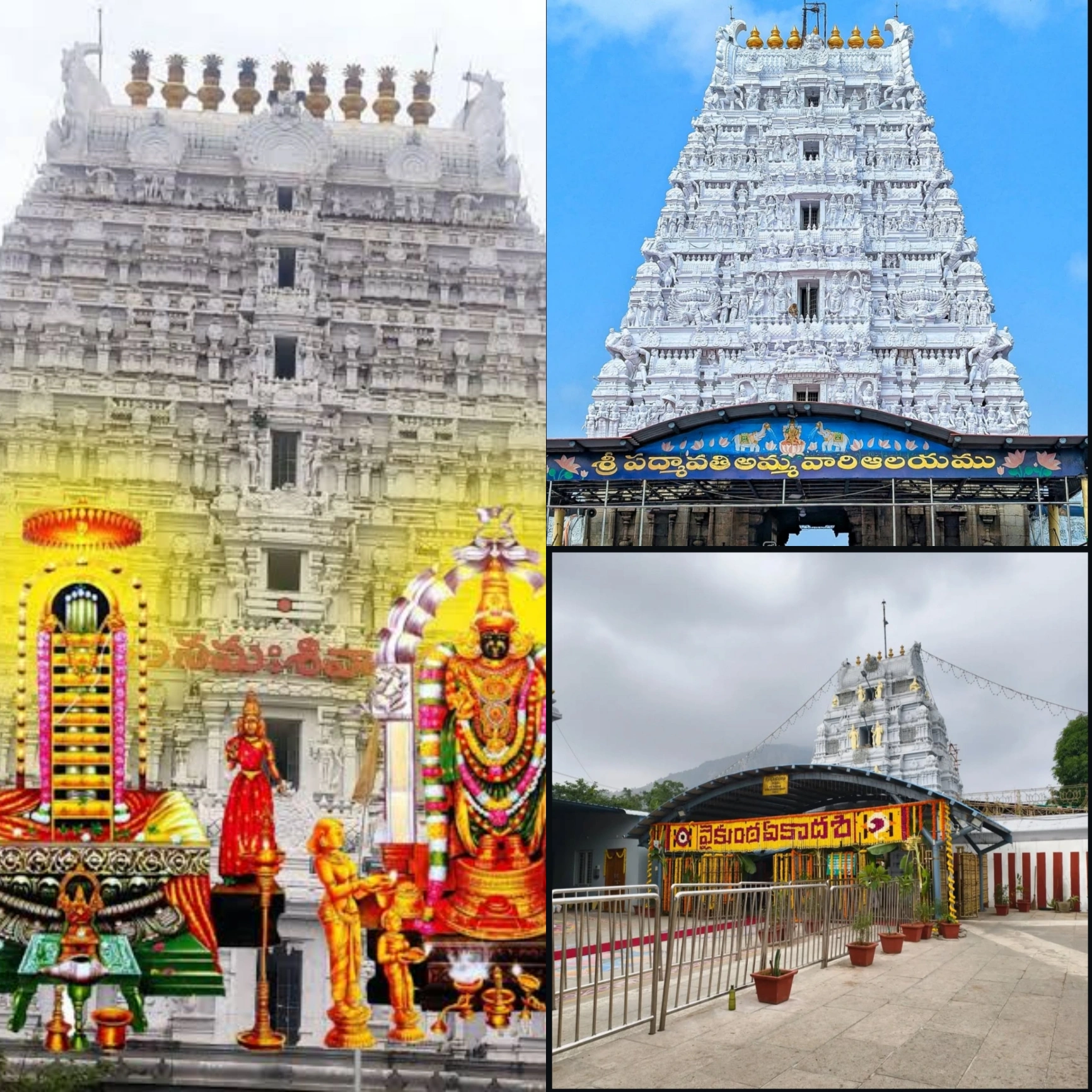 Travels in Tirupathi Kanipakam Package